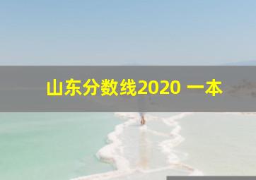 山东分数线2020 一本